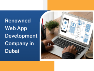 Top-rated Web Application Development Company in Dubai | ToXSL Technologies